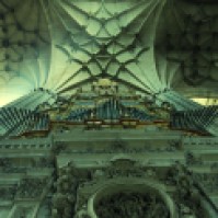 Organo catedral